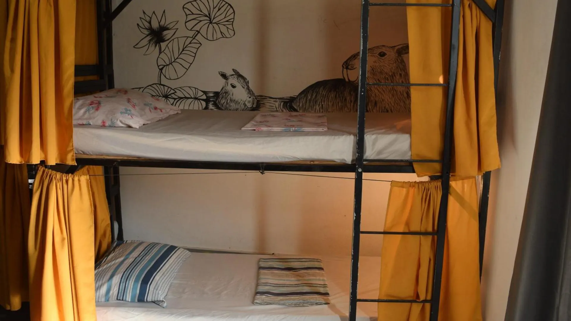 Solar Hostel Buzios 0*, Búzios ברזיל